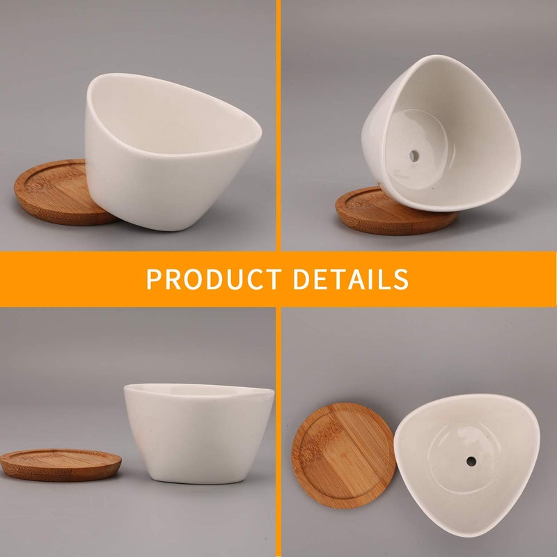 Brajttt Succluent Pots ï¼ŒSmall Flower Pots Planter Pots with Drinage,Ceramic Flowers Pots with Bamboo Tray for Cactus(12 Pack) - Image 3